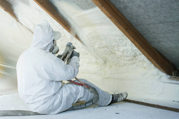 Best Wall Insulation Installation  in Watkins Glen, NY