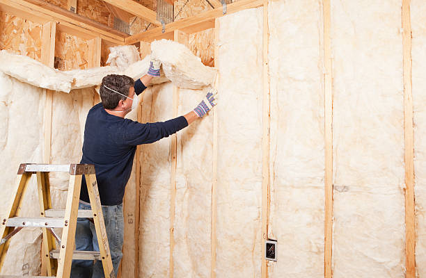 Best Fireproof Insulation  in Watkins Glen, NY